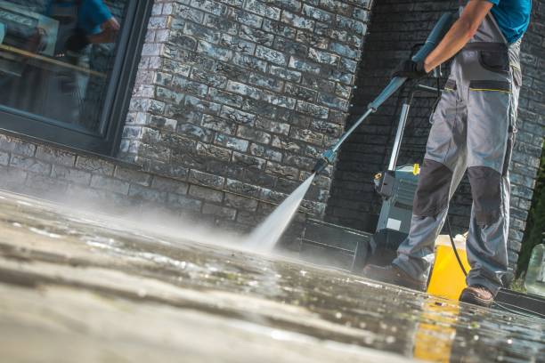 Animal Enclosure Cleaning in Cambridge, MD